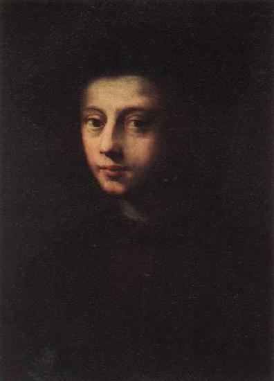 PULIGO, Domenico Portrait of Pietro Carnesecchi Germany oil painting art